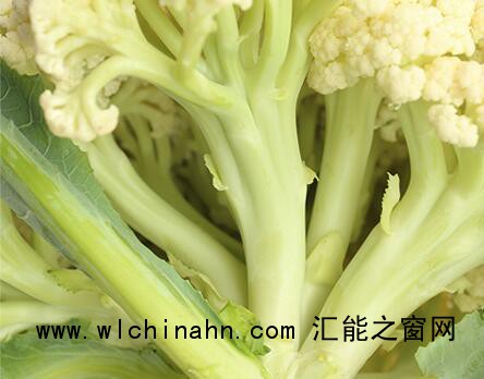 QQ截图20190601091905
