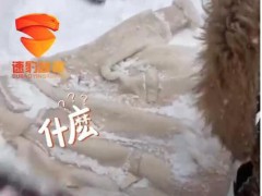 哈尔滨大妈雪地干洗呢子大衣登上热搜，什么情况？