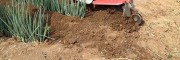 生姜开沟培土机 生姜开沟培土机的视频 种姜机器小型多少钱
