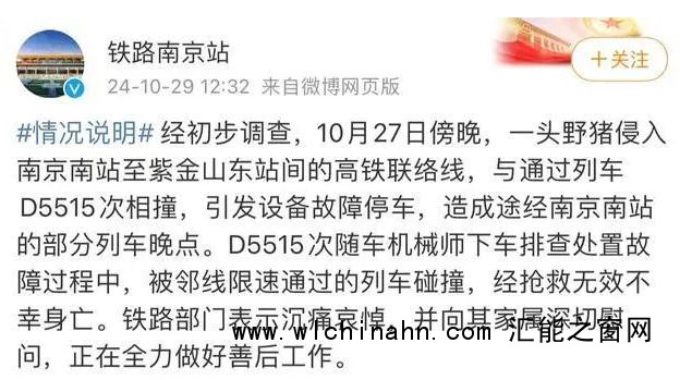 天呐!野猪在26个省份成了祸害