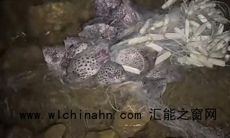 男子夜钓钓上一张挂满鱼的网