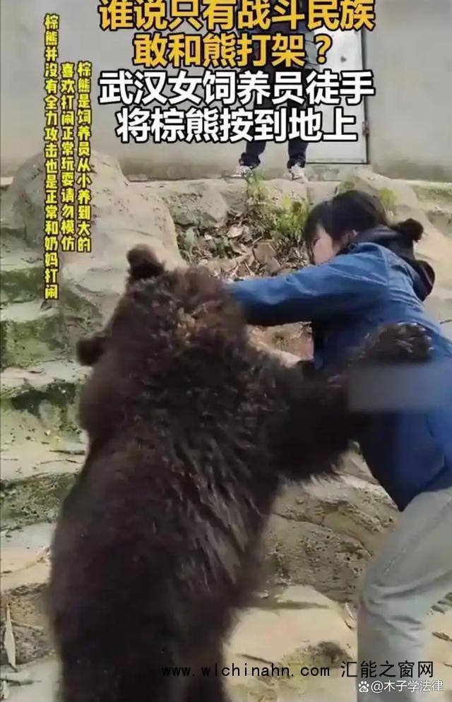 女饲养员徒手将熊按在玻璃上锁喉