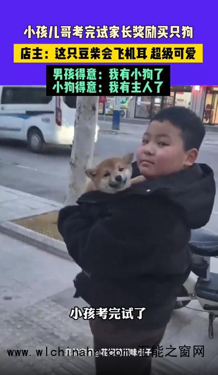 小孩哥考完试妈妈奖励买狗