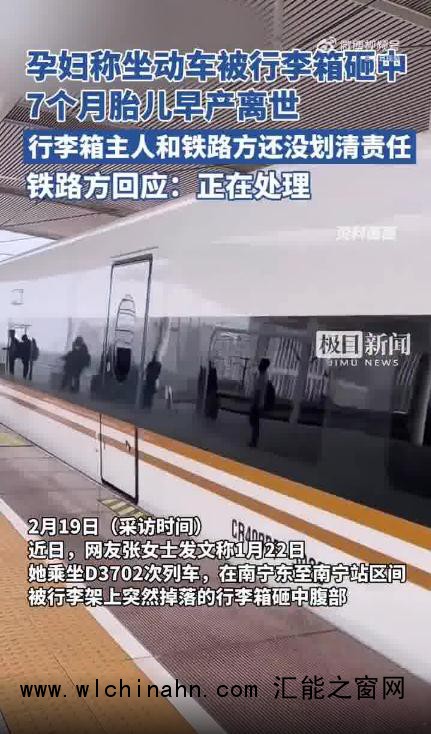 12306回应孕妇被行李箱砸中致早产