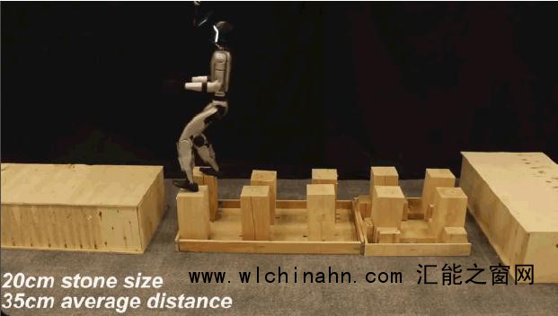 人形伴侣机器人赛道彻底沸腾