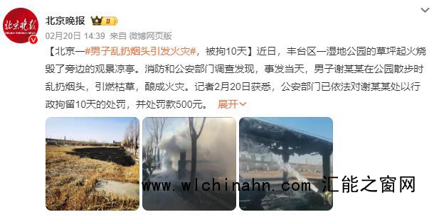 男子在公园散步乱扔烟头引发火灾