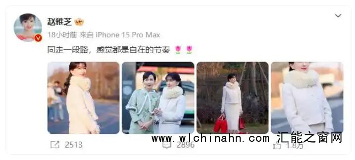 71岁赵雅芝66岁陈美琪同框