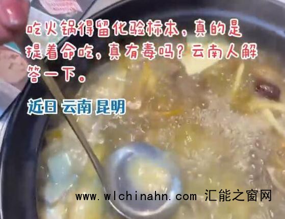 游客到云南吃菌子火锅被规则惊到