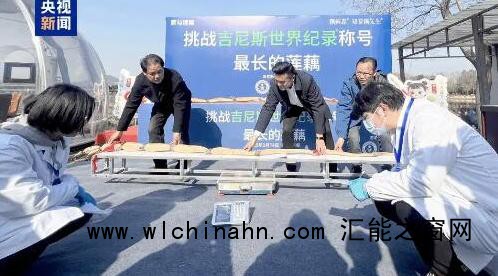 武汉超3米长莲藕刷新世界记录