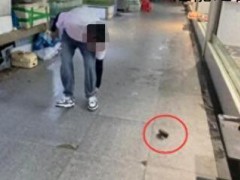 顾客买鱼不杀遭扔秤砣 商贩被行拘 究竟发生了什么？