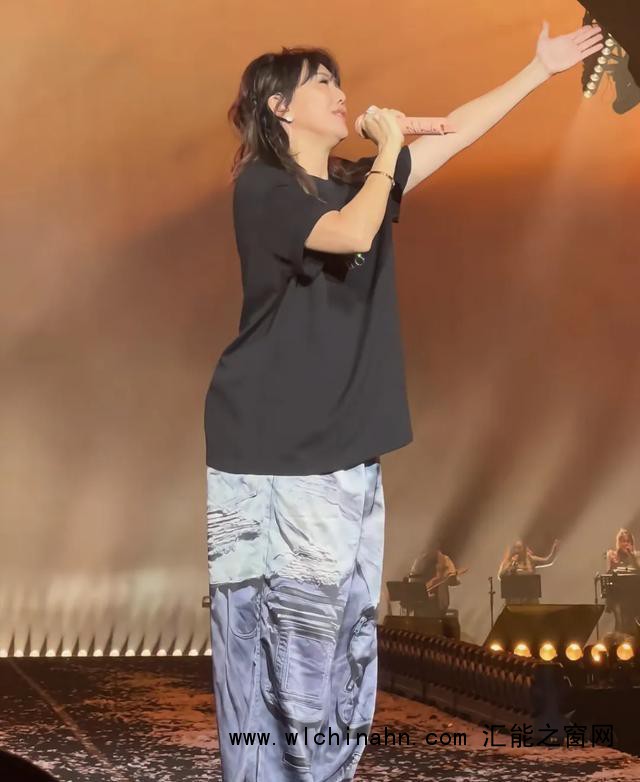 瘦如孙燕姿也难逃中年发福 