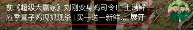 前央视主持人被曝转行养鸡 真相扑朔迷离