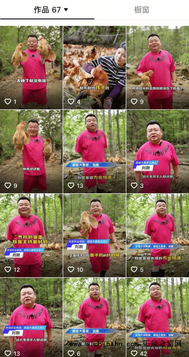 前央视主持人被曝转行养鸡 真相扑朔迷离