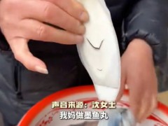 阿姨将墨鱼骨做成仿古“六角宫灯” 究竟发生了什么？