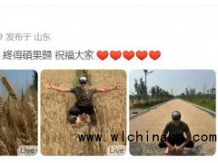 任达华回山东老家收麦子 究竟发生 什么？