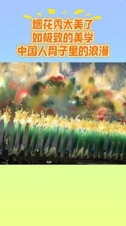 世运会烟花秀太美了