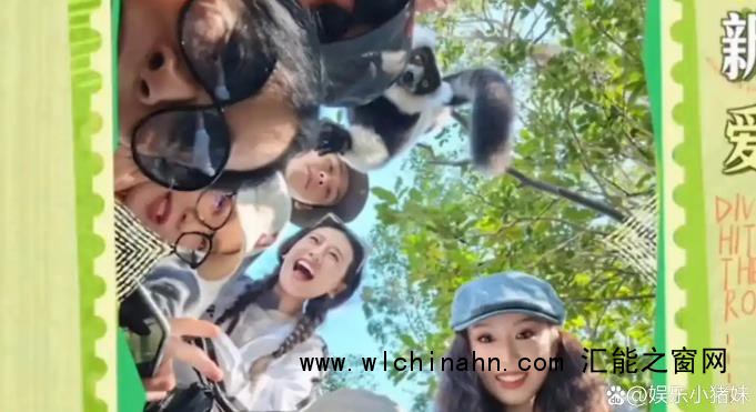 那英被猴子薅了头发