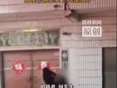 女子表演与蟒蛇亲嘴 未张嘴就遭攻击 究竟发生了什么？