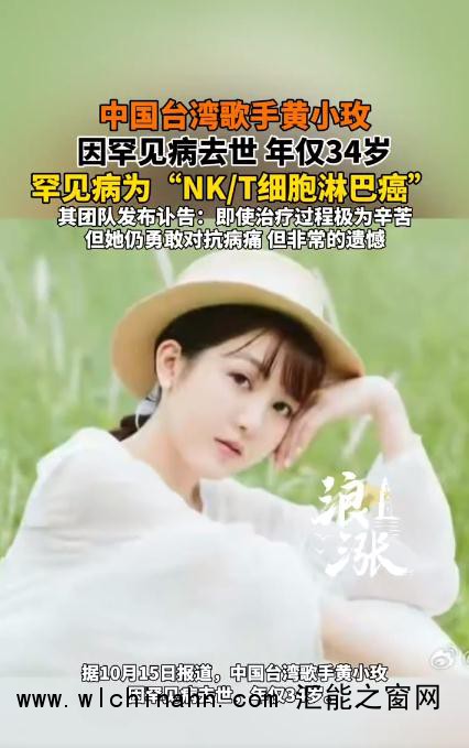 一位才华及美貌并存的歌手