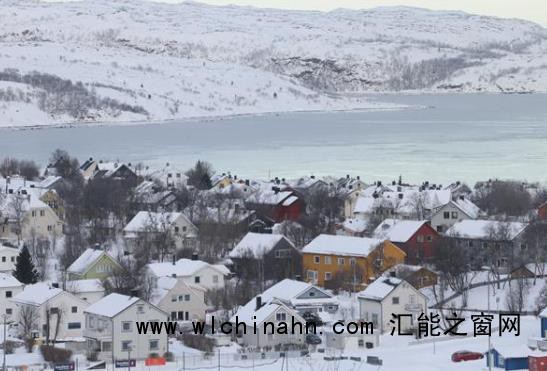 北极4万年古生物正在苏醒
