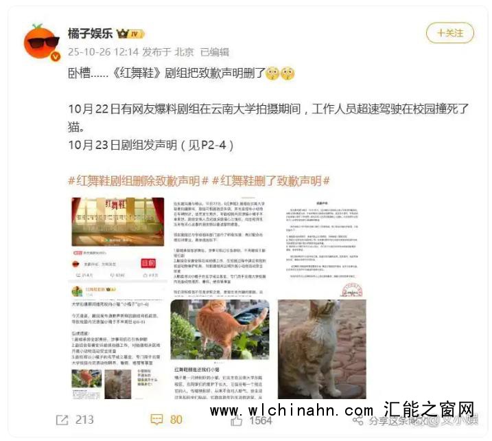 红舞鞋剧组被曝删除致歉声明