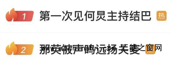 那英质疑票数作假 何炅差点没救回场