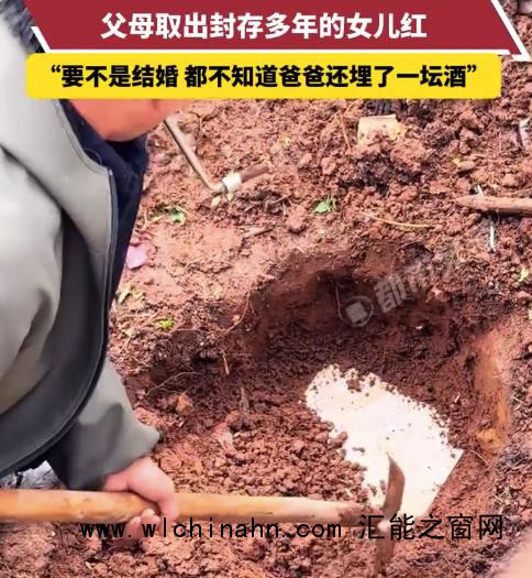 女子即将结婚 父母取出封存的女儿红