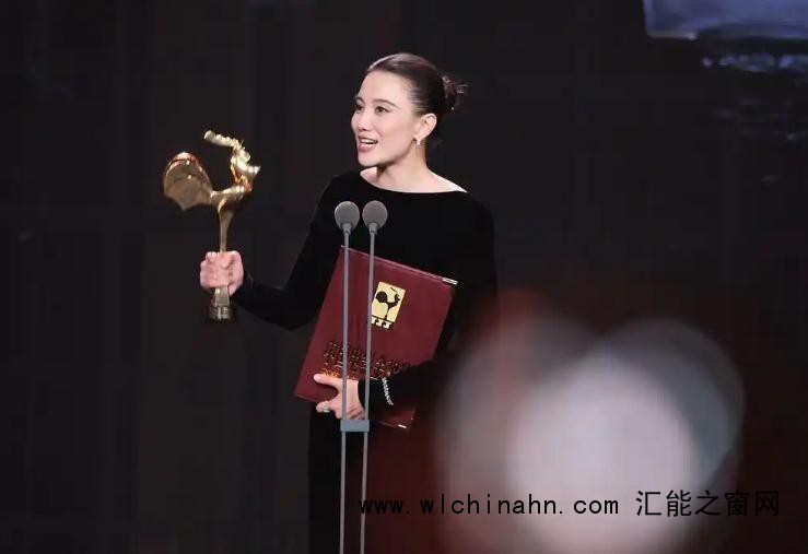 宋佳获金鸡奖最佳女主角奖 