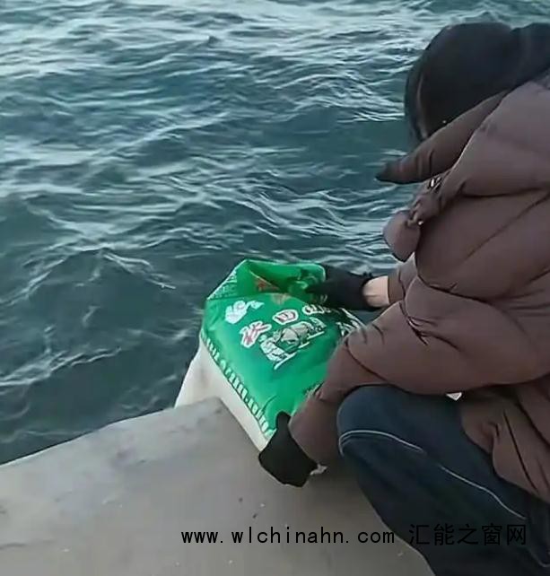 葫芦岛有多人往海里“放生”大米