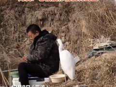 太温馨!男子钓鱼偶遇“矜持”白鹭,静静观察垂钓过程!