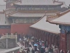 太壮观!人人人人故宫雪人人人人,引发了一场堪比节日的文化狂欢!