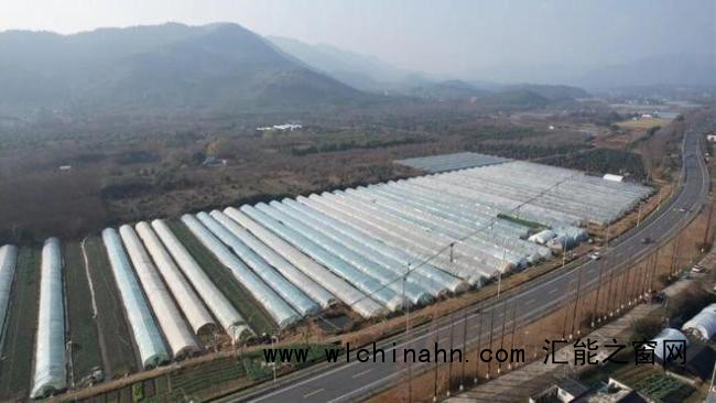 儿子离世留上万斤蔬菜 父亲获帮助 爱心助农接力中