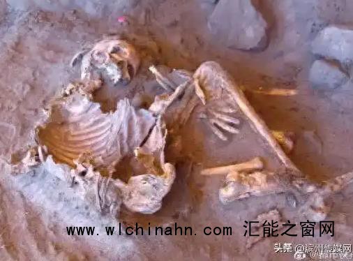 7000年前木乃伊查出全新DNA