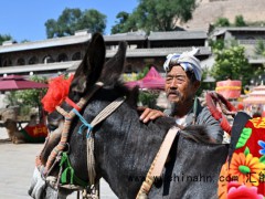 驴1天片酬500元 600年古村全员演技派 究竟发生了什么？