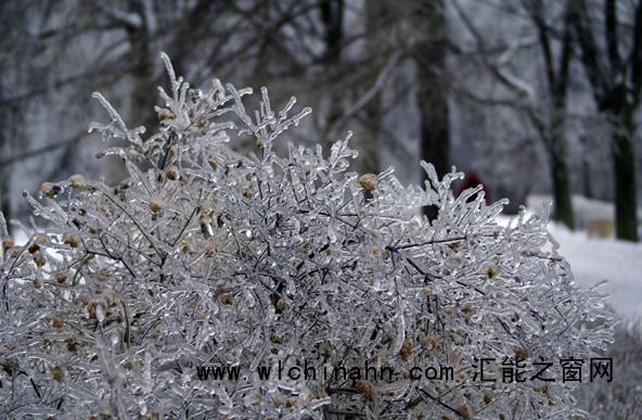 今年首场寒潮即将上线 