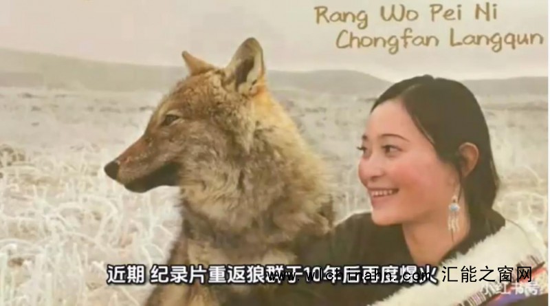 《重返狼群》10年后再度爆火