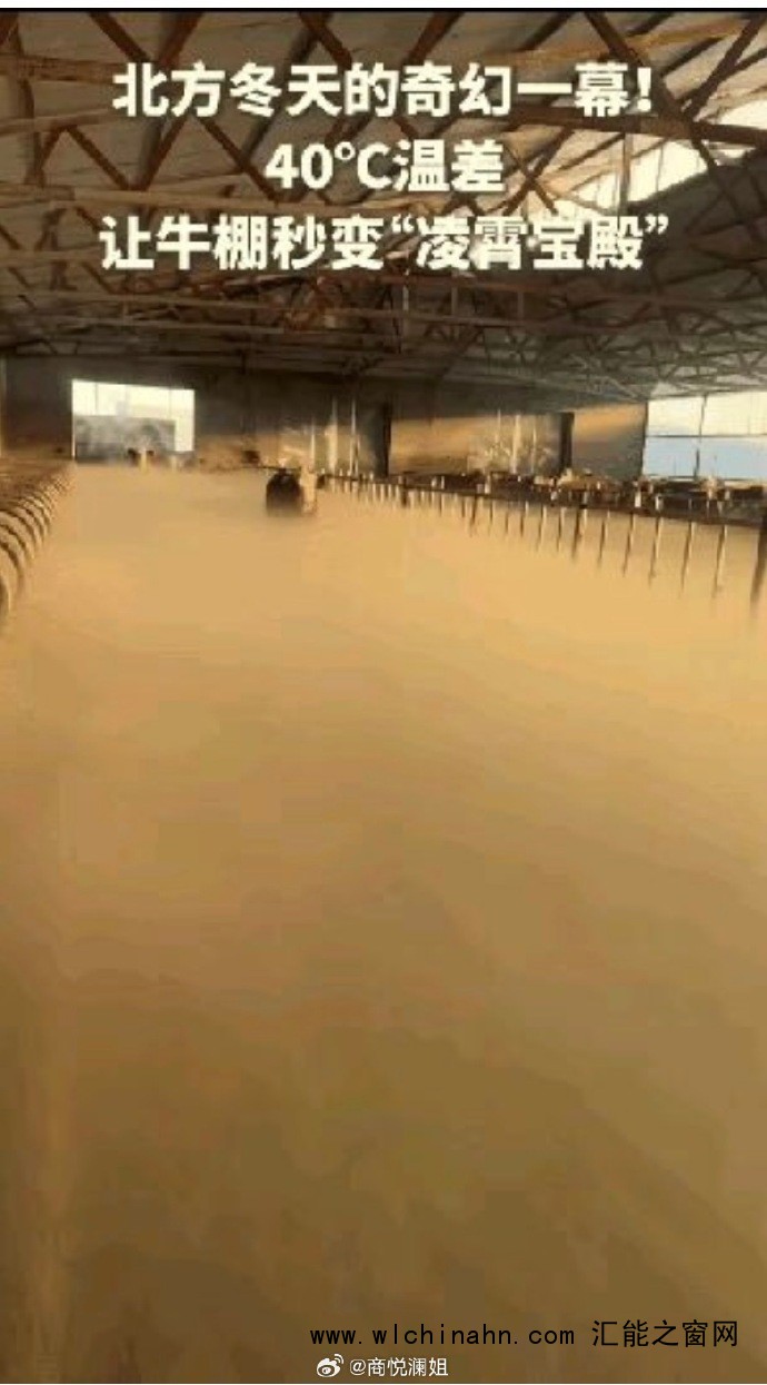 零下30℃ 牛棚一开仿佛&ldquo;凌霄宝殿&rdquo;