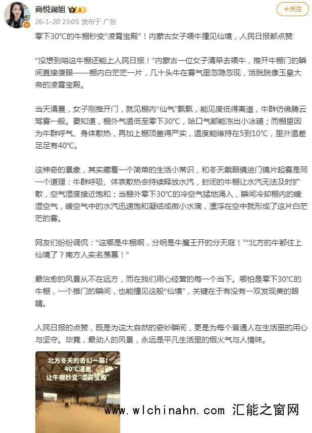 零下30℃ 牛棚一开仿佛&ldquo;凌霄宝殿&rdquo;
