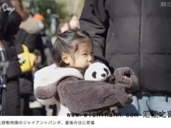 54年来首次 日本国内没有大熊猫了 究竟发生了什么?