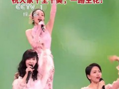 美女背后是另一个美女 不知先看谁 祝大家十全十美，一路生花！