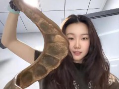 女子带1米长巨大豆荚坐飞机引围观 究竟发生了什么?