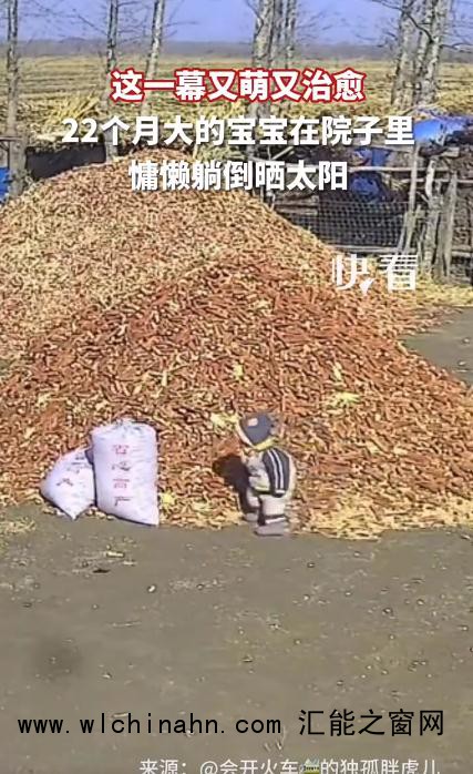 22个月大宝宝躺玉米芯上晒太阳