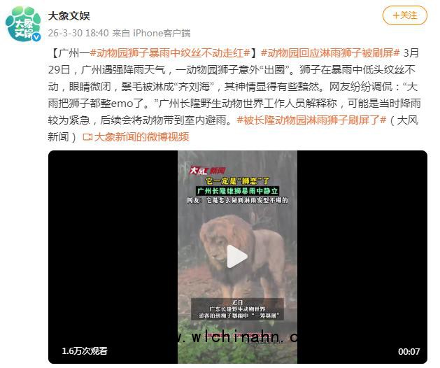 广州下暴雨 动物园&ldquo;落汤狮&rdquo;走红