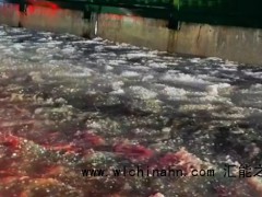 贵阳冰雹为啥形成“冰流成河” 究竟发生了什么？