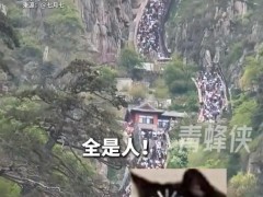 堵山、堵海、堵桥、堵路 究竟发生了什么？