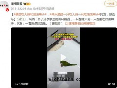 两只鹦鹉一只吃大蒜一只吃油泼辣子 究竟发生了什么？