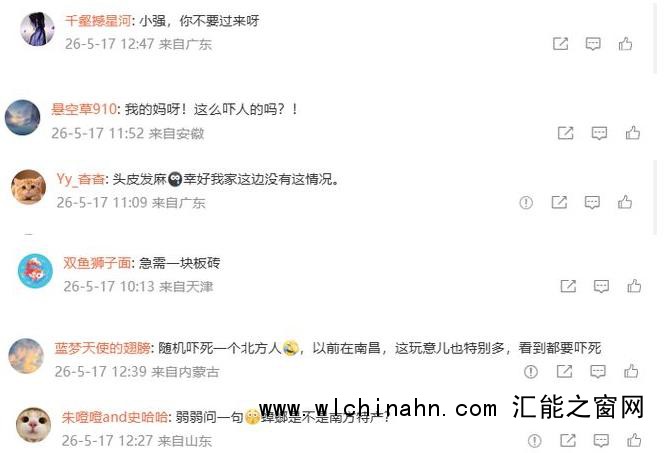 广东暴雨天蟑螂成群出动