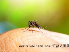 成本几毛钱 央视曝光劣质驱蚊产品 究竟发生了什么？