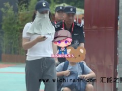 46岁陈好疑似怀第四胎 究竟发生了什么？