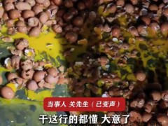 泪目！女子搬运150斤黄鸡蛋瞬间全碎，损失近千元
